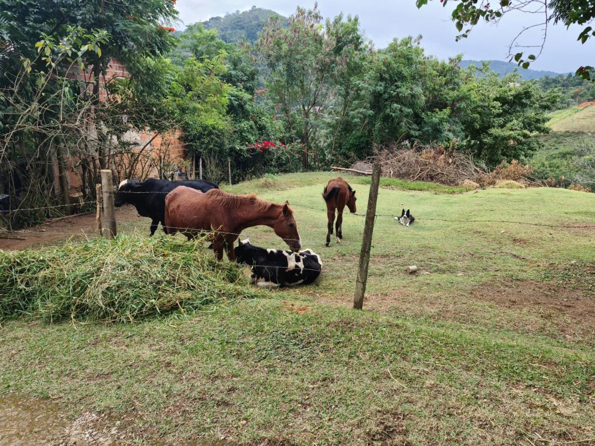 Pousada Nossa Senhora Penedo  Εξωτερικό φωτογραφία Cattle and horses in the countryside of El Salvador
