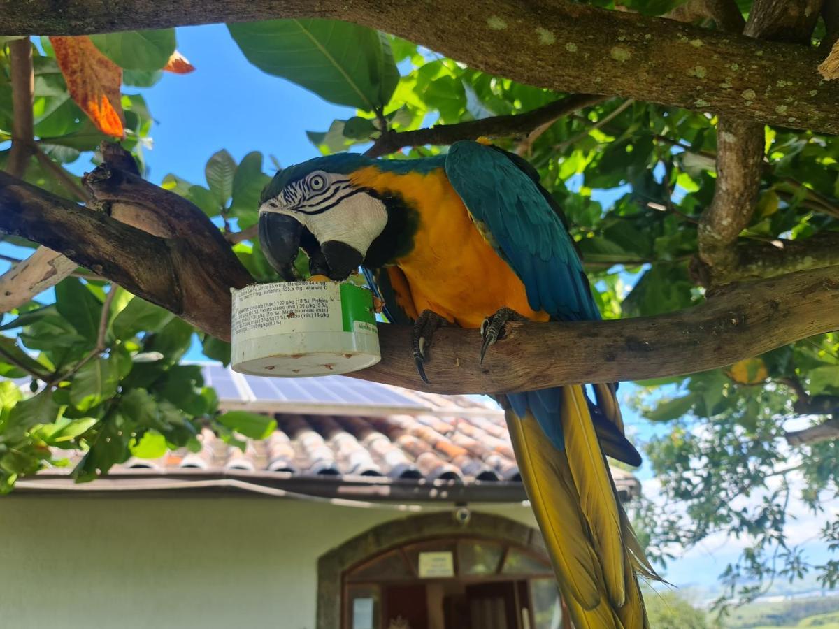 Pousada Nossa Senhora Penedo  Εξωτερικό φωτογραφία Blue and yellow macaw